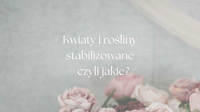 Kwiaty i rośliny stabilizowane