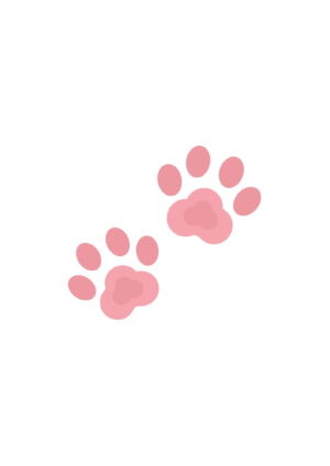 Tabliczki ślubne dla psa lub kota